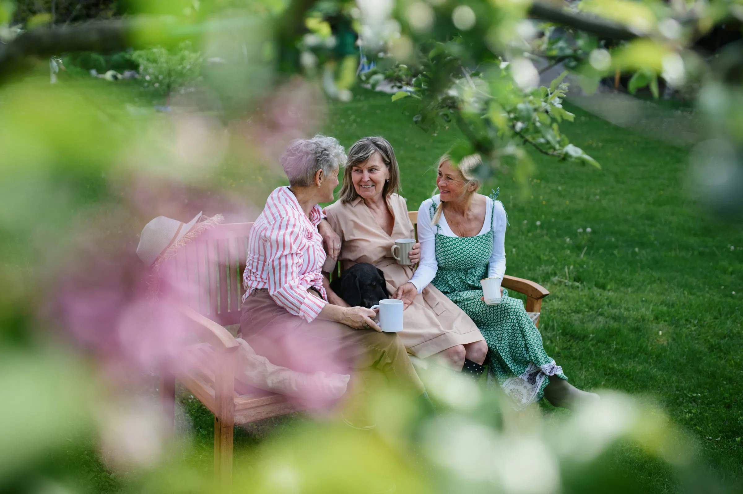 Three friends talking on a garden bench with a dog
